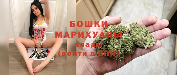 дмт Гусь-Хрустальный