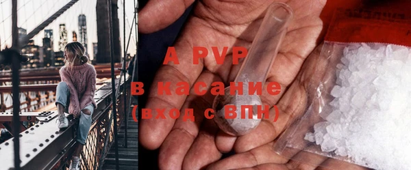 спиды Гусев